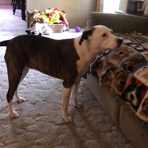 Meet your Posher, Evan